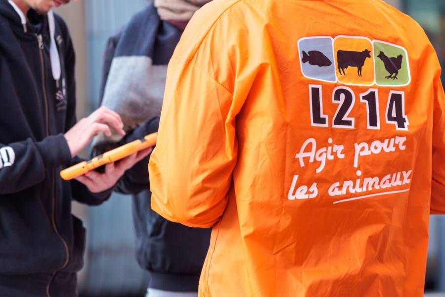 Montpellier - Veganuary : un challenge d'un mois pour découvrir l'alimentation vegan à Montpellier
