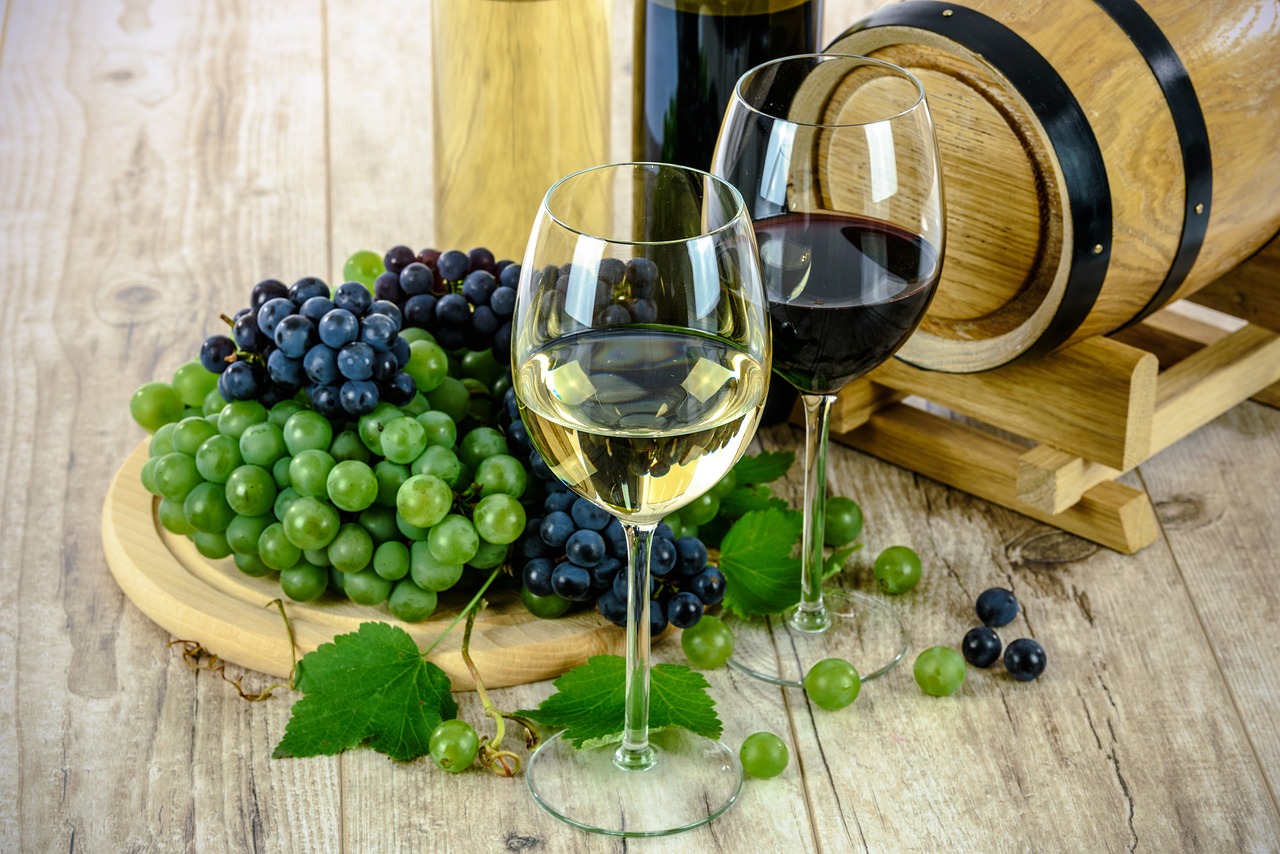 Béziers - Dionysud, le salon de référence pour la viticulture Occitane, annonce les dates de sa 16èmeÉdition.