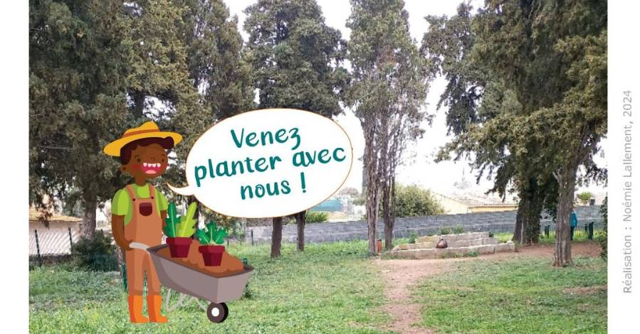 Marseillan - Plantation d'un bosquet fruitier  Samedi 20 janvier, de 9h00 à 17h00
