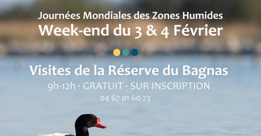 MARSEILLAN - Sorrtie gratuite autour du Bagnas les Samedi 3 et Dimanche 4 Février