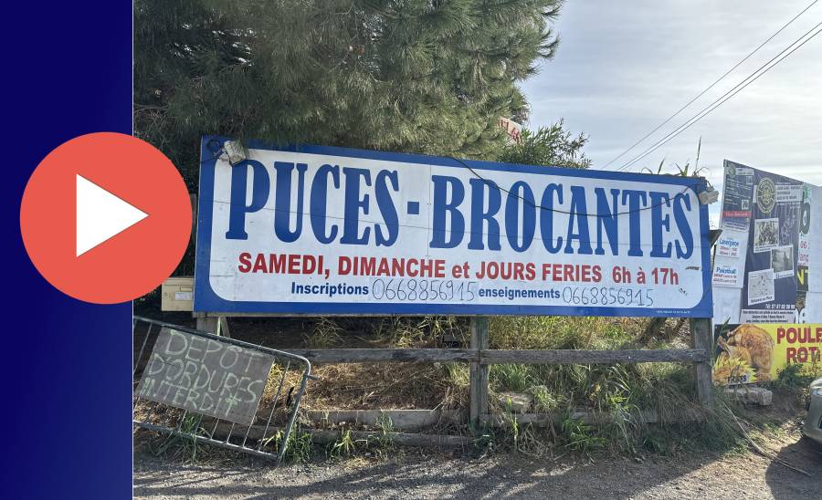MARSEILLAN - VIDEO - Un dimanche de flânerie aux puces de Marseillan