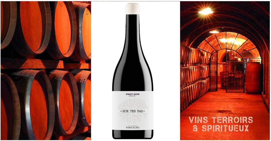 Les Vignobles FONCALIEU - Pinot Noir - Sur Tes Pas, Pays d'Oc IGP, AB