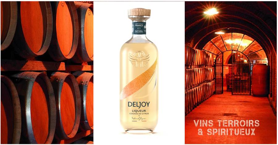 DELJOY la nouvelle liqueur d'agrumes & Cognac