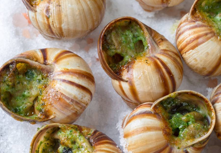 Pyrénées-Orientales - L'escargot en fête au Soler le dimanche 12 mai,