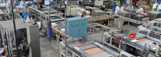 Europe - Produire en Europe c'est veiller à ce que les européens ne manquent jamais de l'essentiel.