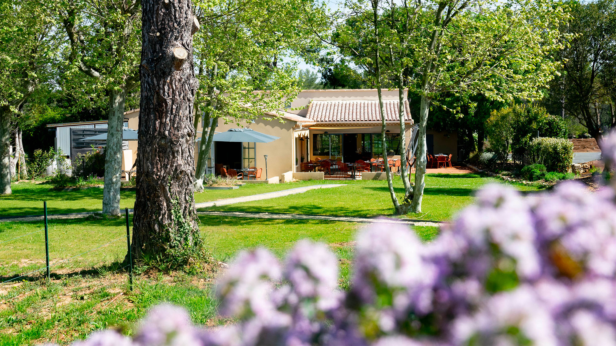 - Le Mas Bottero : Un Jardin Aromatique au Cœur de la Provence