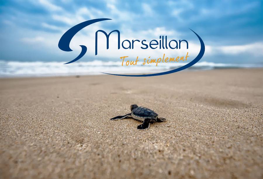 MARSEILLAN - Championne de France sur 1857 plages ! Marseillan plébiscitée pour la qualité de ses eaux de baignade !
