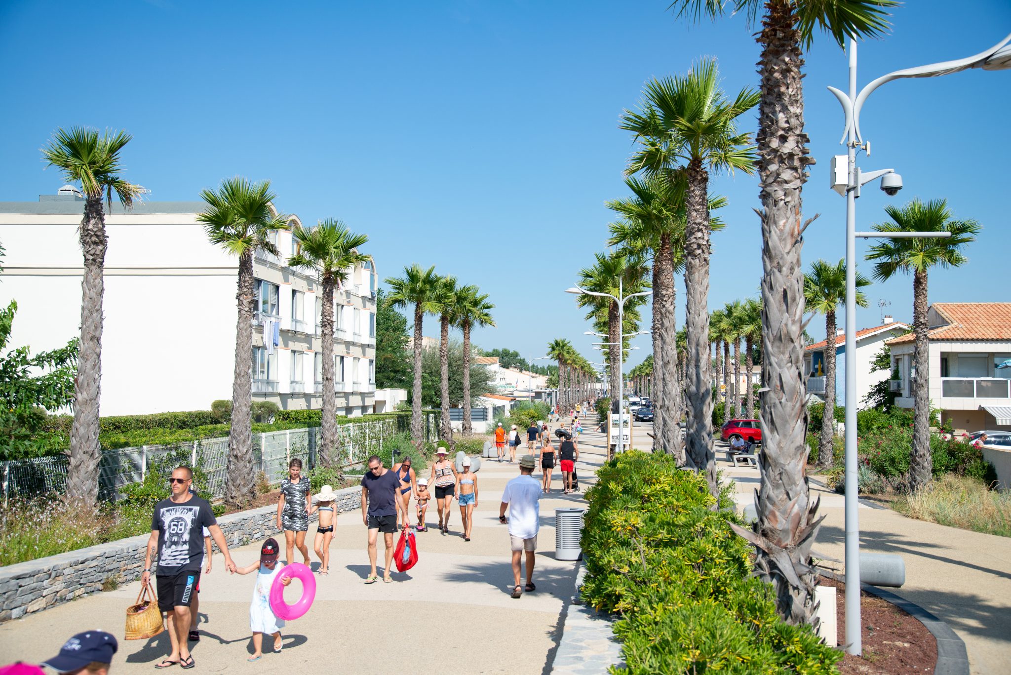 MARSEILLAN - Les rendez-vous réguliers de l'été 2024 à Marseillan et Marseillan Plage
