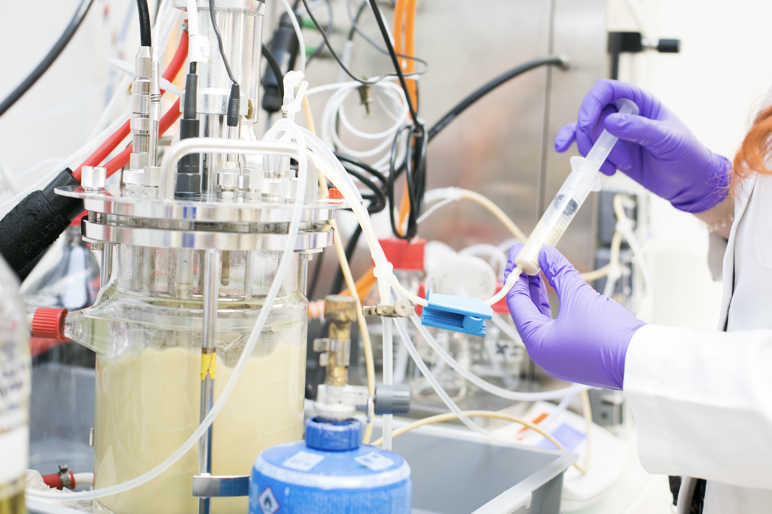 - TWB, leader européen des biotechnologies, nomme Pascal Chapon à sa tête