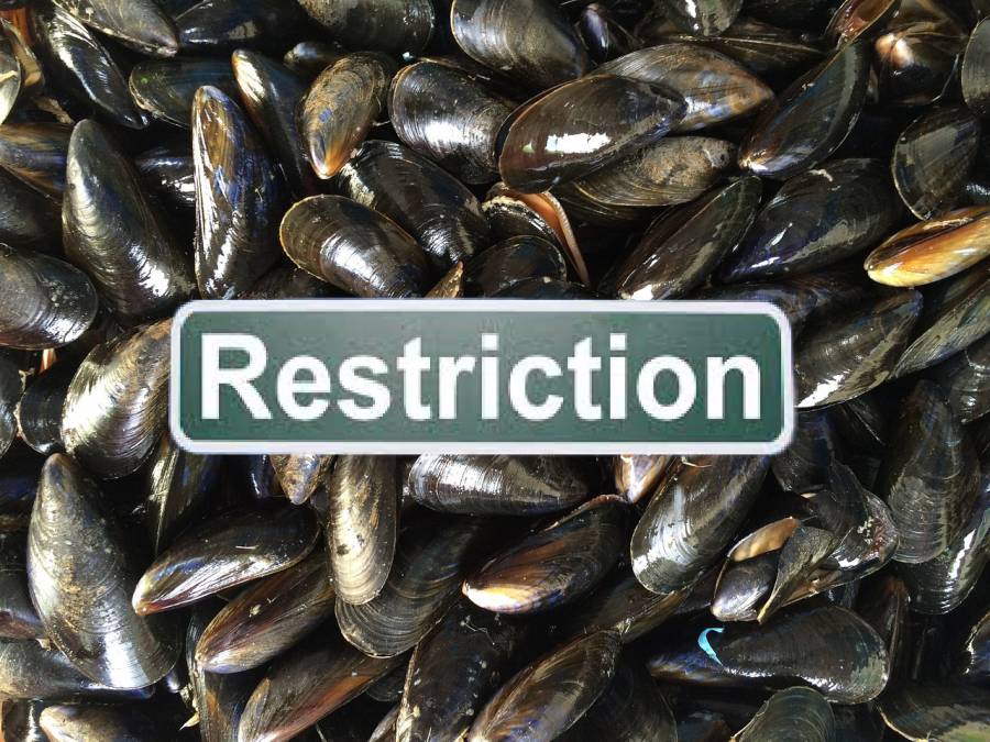 BASSIN DE THAU - SANITAIRE : Restriction de récolte, de pêche, de commercialisation et de consommation des moules, palourdes et gastéropodes de l'étang de Thau