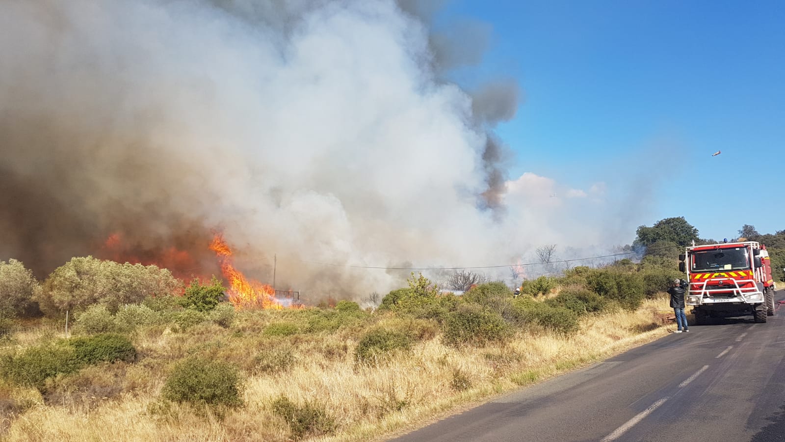 MARSEILLAN - Départ de feu route de Meze : 2 hectares de chaume et de roselières partis en fumée