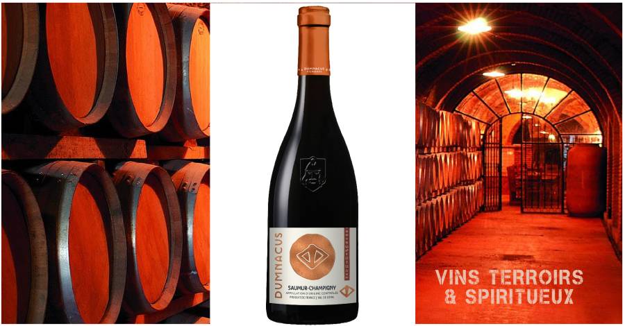 DUMNACUS VIGNERONS : Le Cabernet Franc, Star de l'Automne !