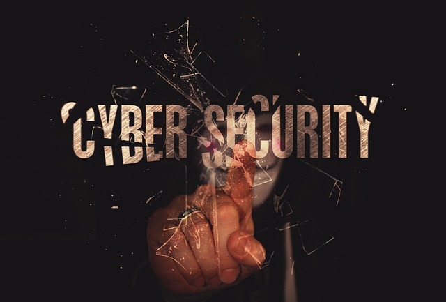 - Octobre Cybermoi/s - Fidens soutient Cybermalveillance.gouv.fr dans ses efforts de sensibilisation