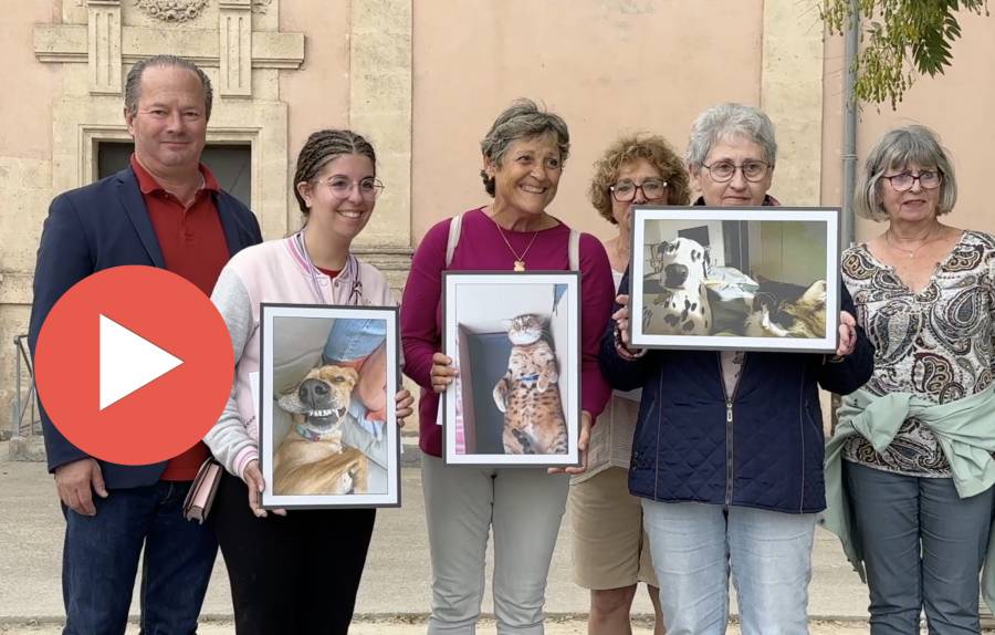 MARSEILLAN - MARSEILLAN - VIDEO - Une 2ème édition réussie pour la Journée Internationale des animaux