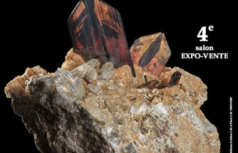 Auch - 4e SALON MINERAUX FOSSILES BIJOUX de AUCH (Gers)