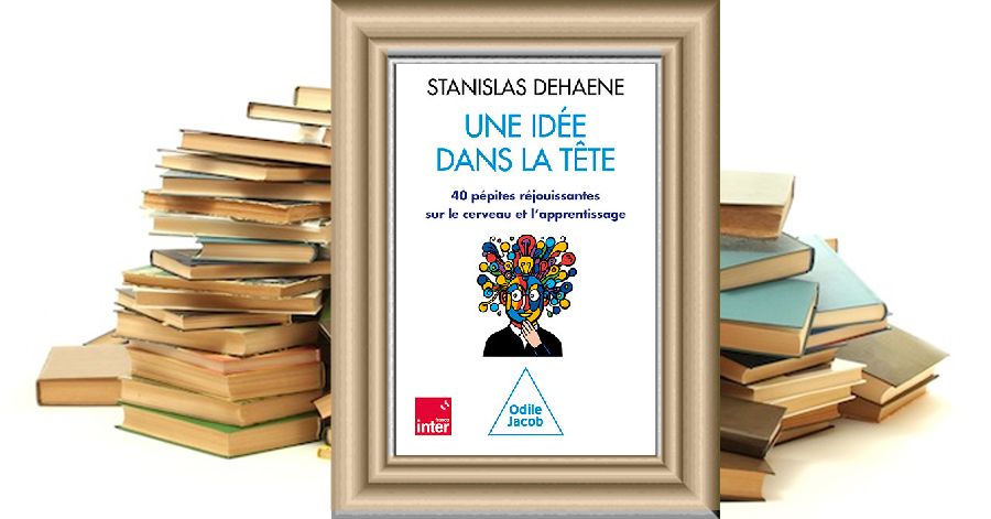 Une idée dans la tête - 40 pépites réjouissantes sur le cerveau et l'apprentissage - Stanislas Dehaene