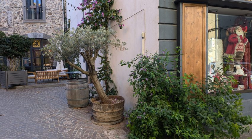 MARSEILLAN - Une ville plus verte et plus fleurie grâce au permis de végétaliser !
