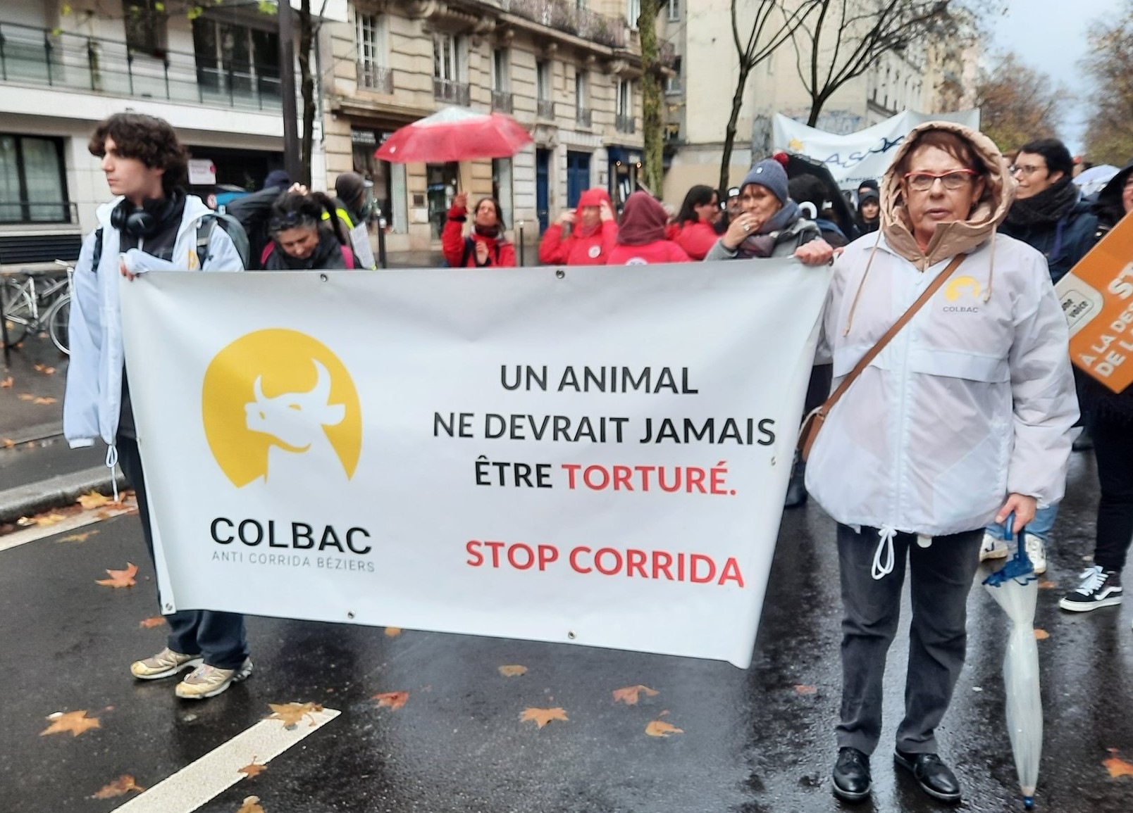 - Le COLBAC se mobilise pour la Journée Internationale pour les Droits des Animaux