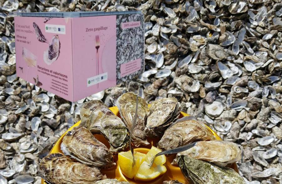 MARSEILLAN - Une seconde vie pour vos coquilles d'huitres !