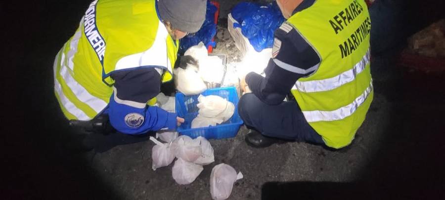 MÈZE - Marseillan : La Brigade nautique de gendarmerie en action pour des fêtes en toute sécurité !