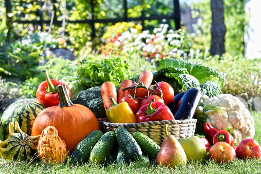 - La fête des Bons Plants au château de Broglie