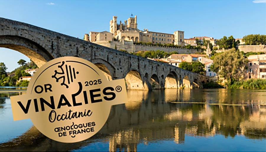 BASSIN DE THAU - La Hérault brille aux 19ᵉ Vinalies Occitanie : IGP, Cote de Thau et Picpoul à l'honneur