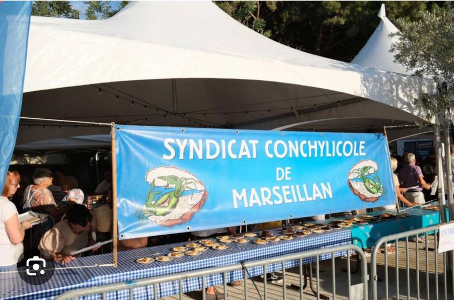 MARSEILLAN - L'éclat de la conchyliculture sous les projecteurs