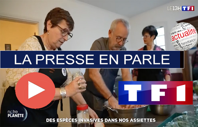 MARSEILLAN - Des espèces invasives dans nos assiettes