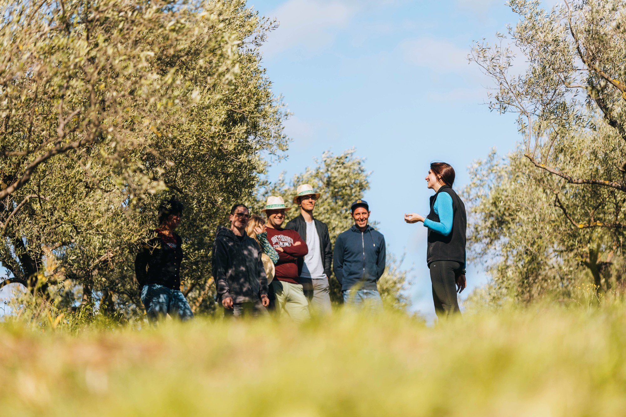 Saint-Gély-du-Fesc - Feria des Olives : un week-end festif et familial sur le thème de l'olivier & la biodiversité