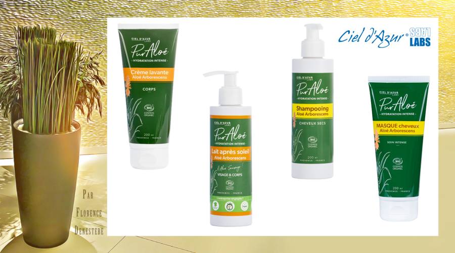 L'Aloé, l'elixir vert de l'été avec Ciel d'Azur Labs