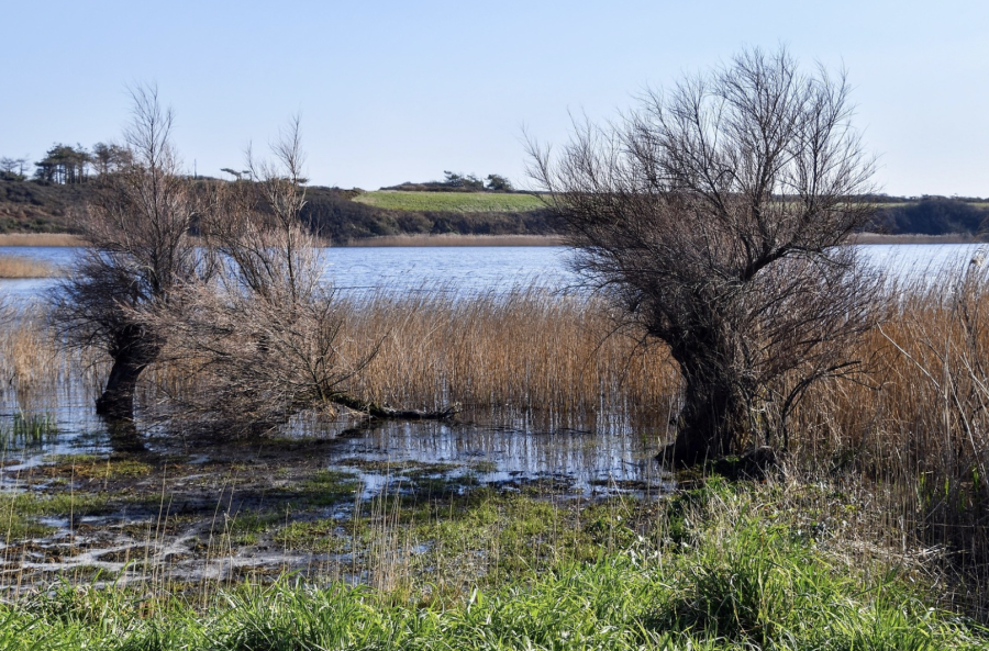 MARSEILLAN - Marseillan célèbre la Fête de la Nature du 21 au 25 mai 2025