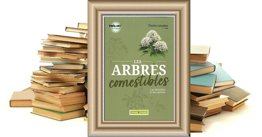 Les arbres comestibles - Les identifier et les cuisiner - Caroline Calendula