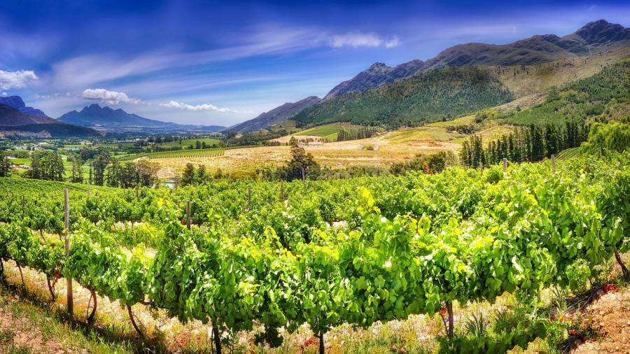 - 2 propriétés viticoles de la Région Languedoc-Roussillon Lauréates des Trophées de l'œnotourisme 202