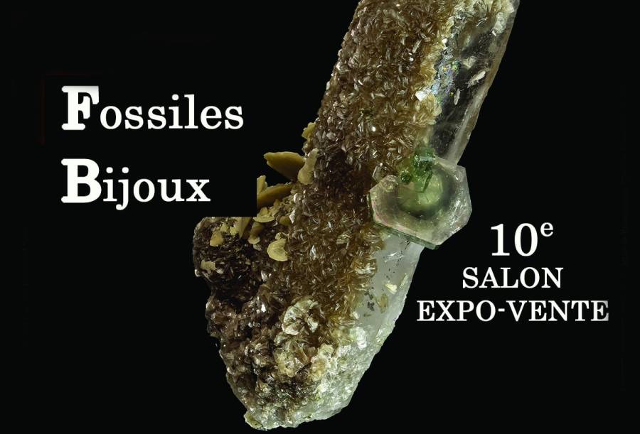 Albi - 10e Salon minéraux fossiles bijoux