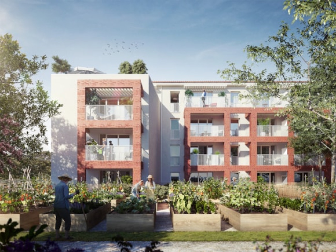 Haute-Garonne - Serenly Toulouse, une résidence seniors récente au cœur du quartier BonnefoyLa résidence Serenly, si