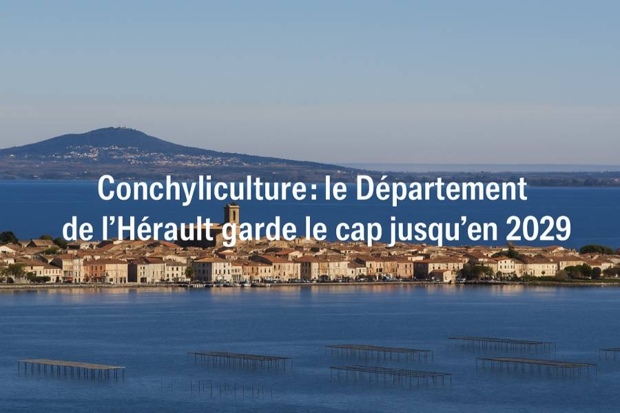 BASSIN DE THAU - Conchyliculture : Huit ans de plus pour la filière conchylicole : l'Hérault joue collectif et s'ancre dans la durée