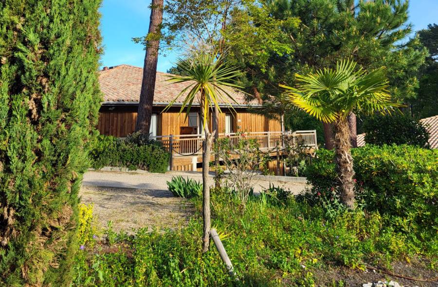 - Dix ans de magie au Domaine du Ferret : un joyau du Bassin d'Arcachon