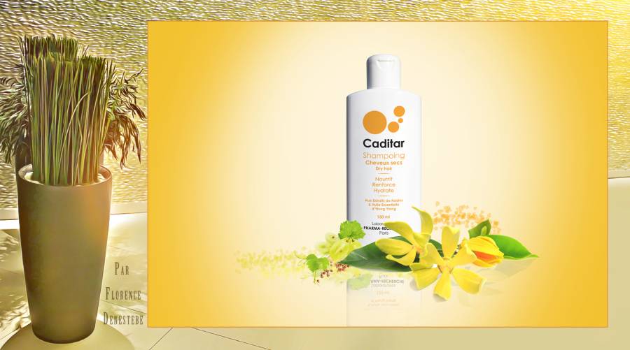 Caditar - Shampoing cheveux secs