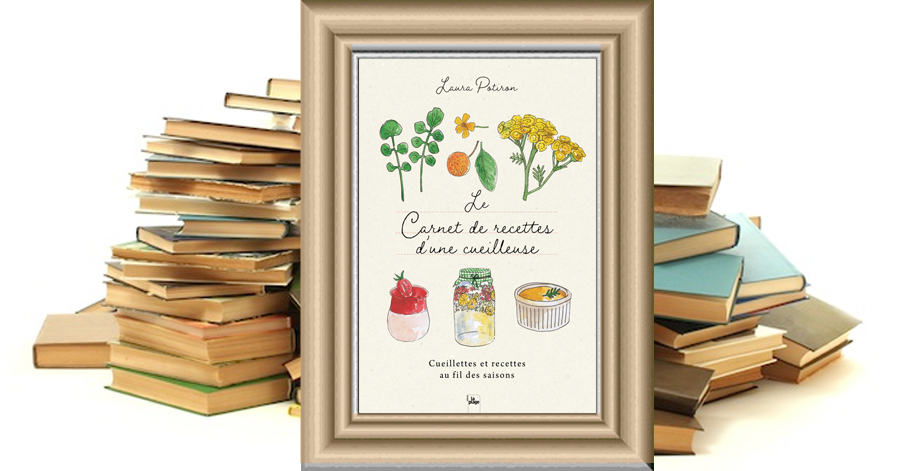 Le carnet de recettes d'une cueilleuse - Laura Potiron